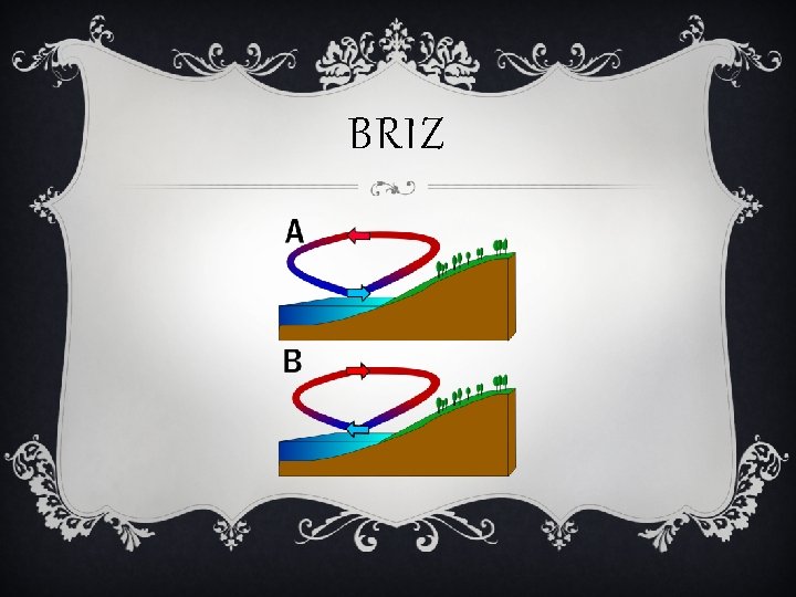 BRIZ 