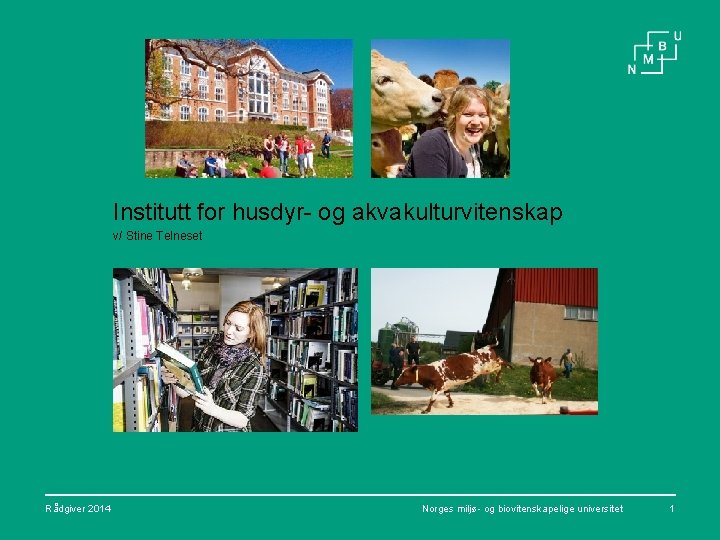 Institutt for husdyr- og akvakulturvitenskap v/ Stine Telneset Rådgiver 2014 Norges miljø- og biovitenskapelige