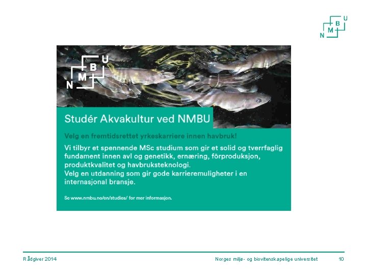 Rådgiver 2014 Norges miljø- og biovitenskapelige universitet 10 