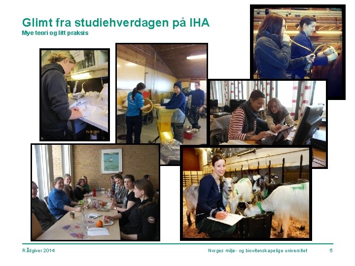Glimt fra studiehverdagen på IHA Mye teori og litt praksis Rådgiver 2014 Norges miljø-