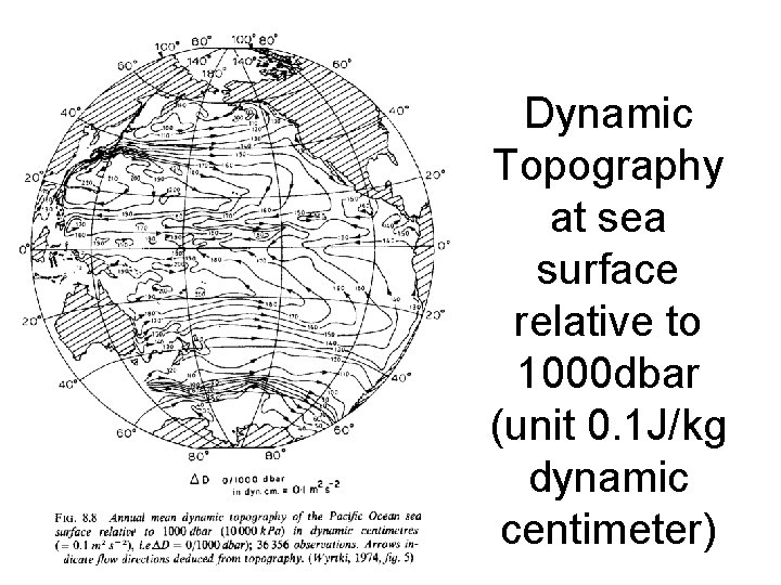 Dynamic Topography at sea surface relative to 1000 dbar (unit 0. 1 J/kg dynamic