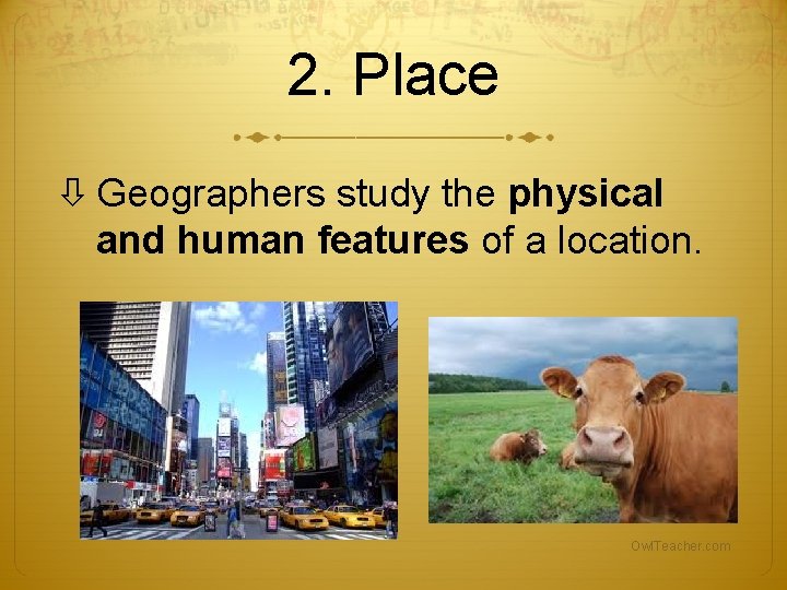 2. Place Geographers study the physical and human features of a location. Owl. Teacher. 2. Place Geographers study the physical and human features of a location. Owl. Teacher.