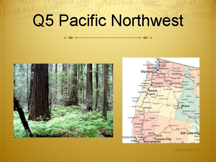 Q 5 Pacific Northwest Owl. Teacher. com Q 5 Pacific Northwest Owl. Teacher. com