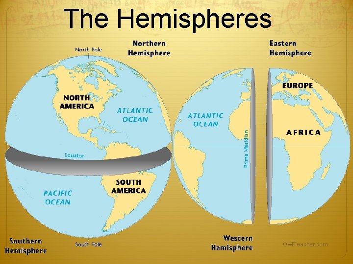 The Hemispheres Owl. Teacher. com The Hemispheres Owl. Teacher. com