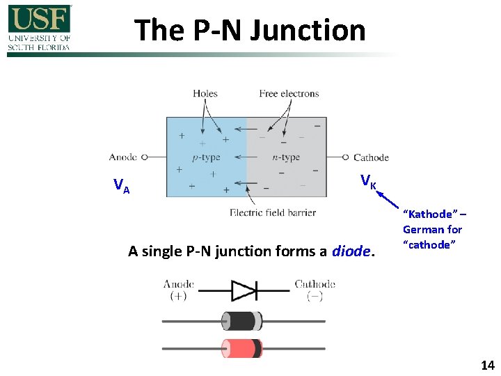 The P-N Junction VA VK A single P-N junction forms a diode. “Kathode” –