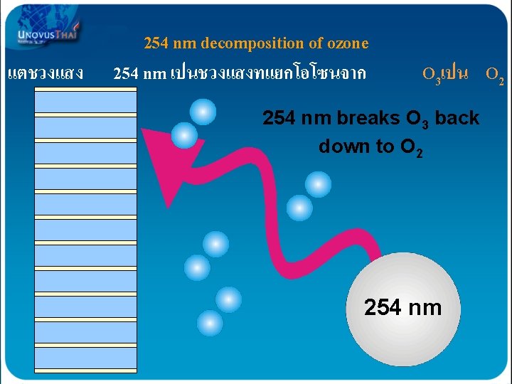 แตชวงแสง 254 nm decomposition of ozone 254 nm เปนชวงแสงทแยกโอโซนจาก O 3เปน O 2 254 แตชวงแสง 254 nm decomposition of ozone 254 nm เปนชวงแสงทแยกโอโซนจาก O 3เปน O 2 254