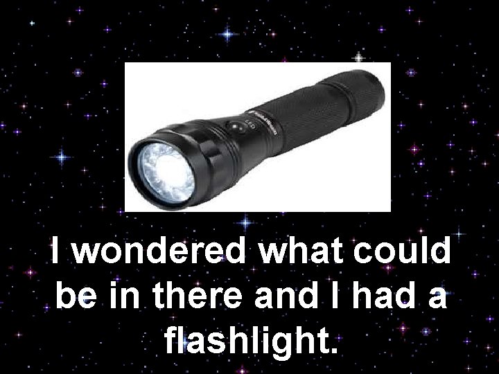 I wondered what could be in there and I had a flashlight. 