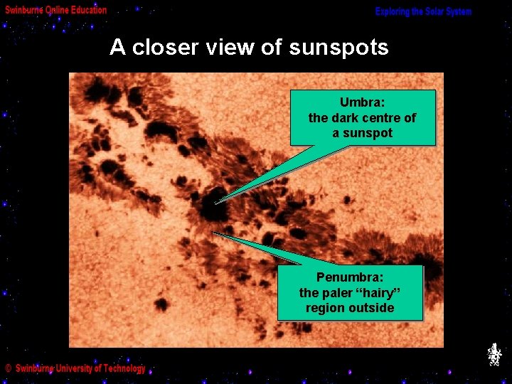 A closer view of sunspots Umbra: the dark centre of a sunspot Penumbra: the