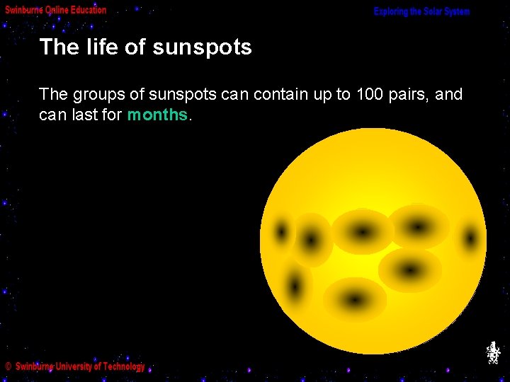 The life of sunspots The groups of sunspots can contain up to 100 pairs,
