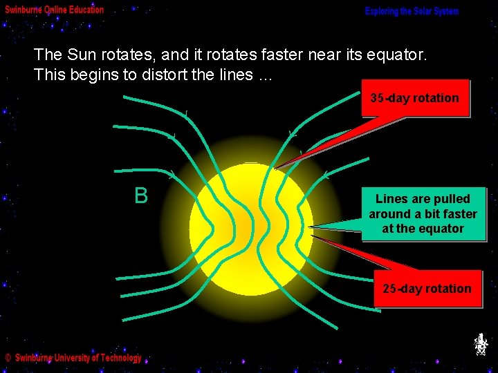 The Sun rotates, and it rotates faster near its equator. This begins to distort