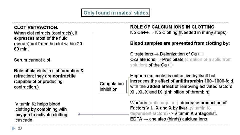 Only found in males’ slides. ROLE OF CALCIUM IONS IN CLOTTING No Ca++ →