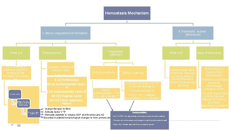 Hemostasis Mechanism 4. Fibrinolytic system (fibrinolysis) 3. Blood coagulation(clot formation) What is it Clotting