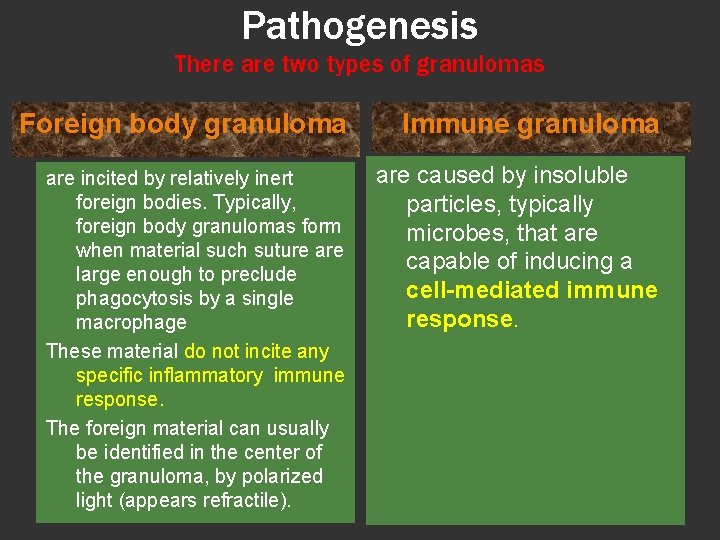 Pathogenesis There are two types of granulomas Foreign body granuloma Immune granuloma are incited