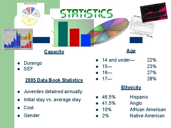 Age Capacity l l Durango SEF 2005 Data Book Statistics l Juveniles detained annually