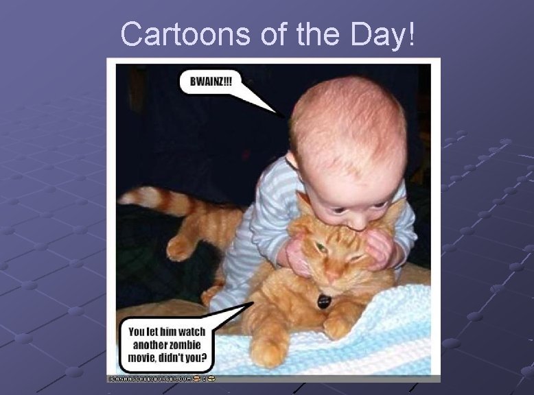 Cartoons of the Day! 