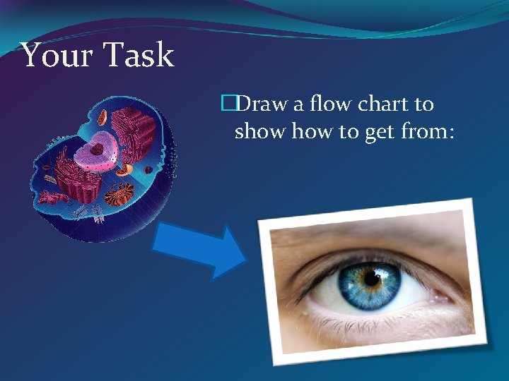 Your Task �Draw a flow chart to show to get from: 
