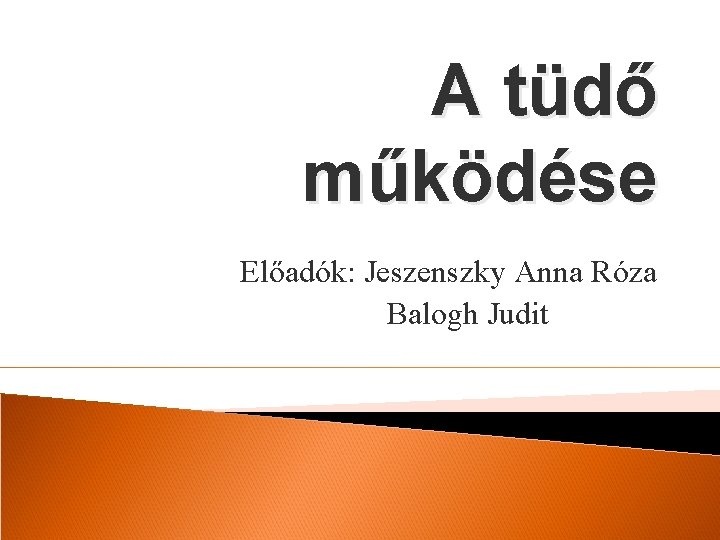 A tüdő működése Előadók: Jeszenszky Anna Róza Balogh Judit 