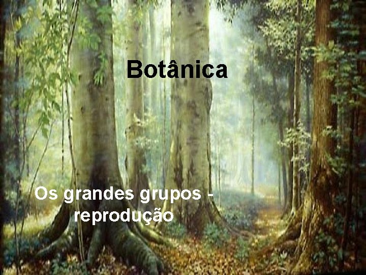 Botânica Os grandes grupos reprodução 