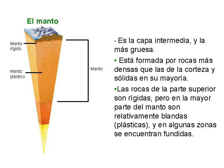 UNIDAD 6 El manto • Es la capa intermedia, y la Manto rígido Manto