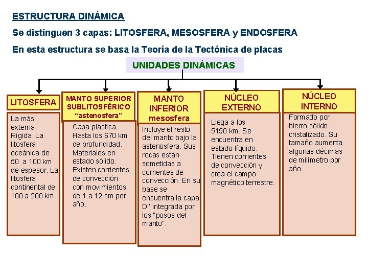 ESTRUCTURA DINÁMICA Se distinguen 3 capas: LITOSFERA, MESOSFERA y ENDOSFERA En esta estructura se