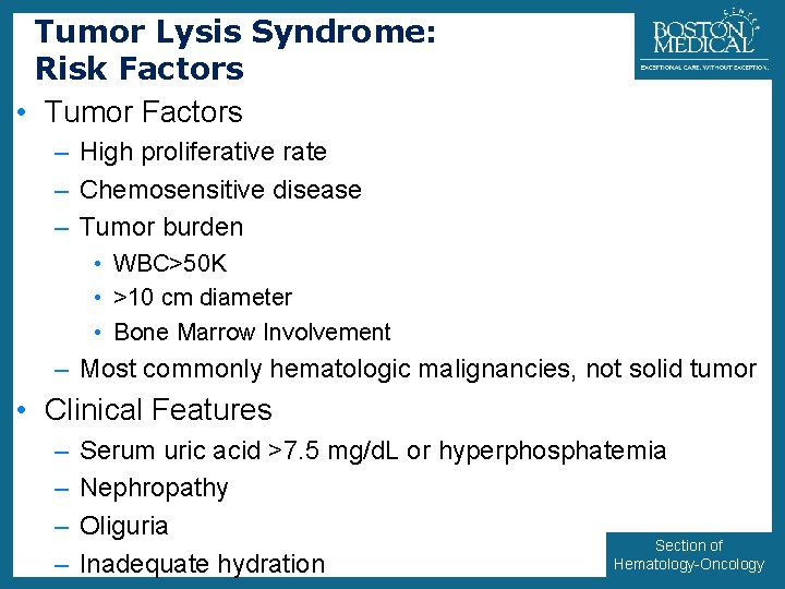 Tumor Lysis Syndrome: Risk Factors • Tumor Factors 23 – High proliferative rate –