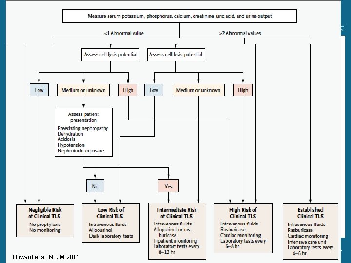 Who is at risk Howard et al. NEJM 2011 24 Section of Hematology-Oncology 