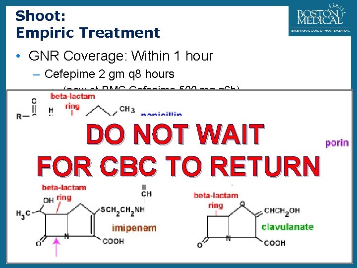 Shoot: Empiric Treatment 7 • GNR Coverage: Within 1 hour – Cefepime 2 gm