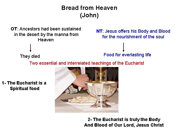 Bread from Heaven (John) OT: Ancestors had been sustained in the desert by the