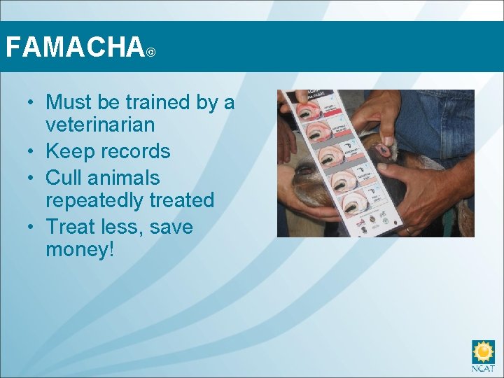 FAMACHA© • Must be trained by a veterinarian • Keep records • Cull animals