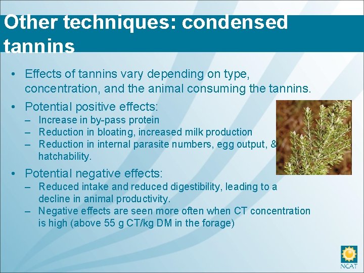 Other techniques: condensed tannins • Effects of tannins vary depending on type, concentration, and