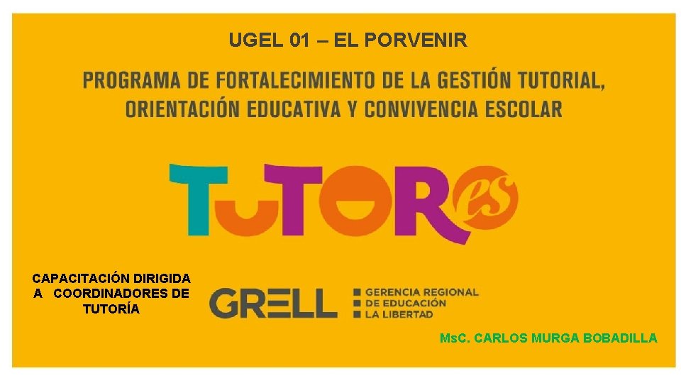 UGEL 01 – EL PORVENIR CAPACITACIÓN DIRIGIDA A COORDINADORES DE TUTORÍA Ms. C. CARLOS