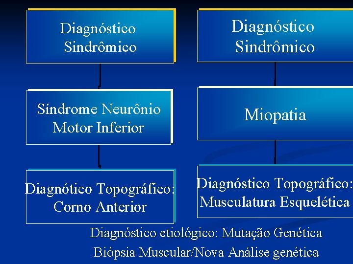 Diagnóstico Sindrômico Síndrome Neurônio Motor Inferior Miopatia Diagnótico Topográfico: Corno Anterior Diagnóstico Topográfico: Musculatura