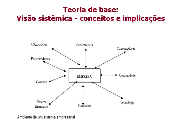 Teoria de base: Visão sistêmica - conceitos e implicações 