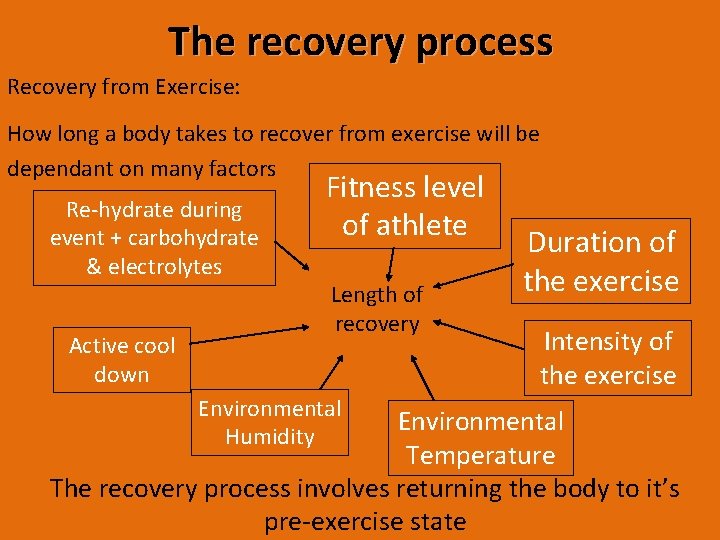 The recovery process Recovery from Exercise: How long a body takes to recover from