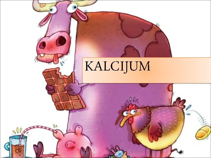 KALCIJUM KALCIJUM
