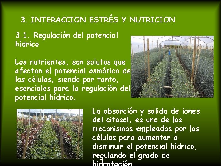 3. INTERACCION ESTRÉS Y NUTRICION 3. 1. Regulación del potencial hídrico Los nutrientes, son