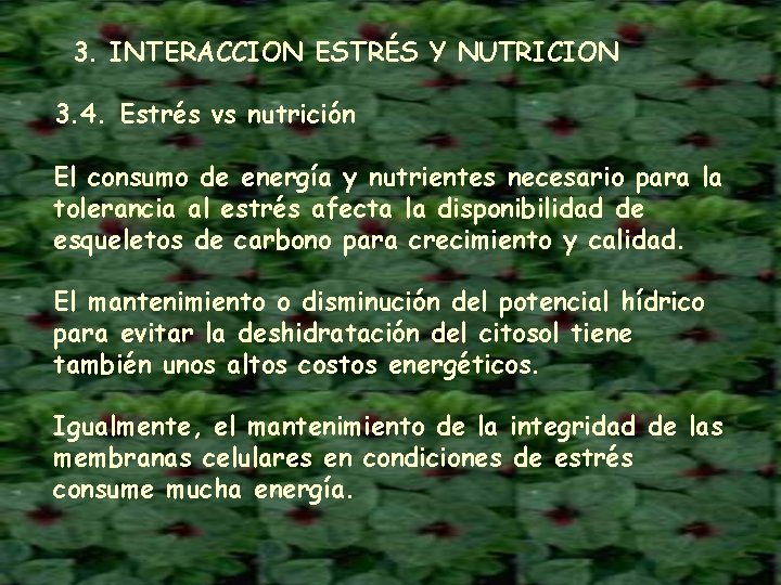 3. INTERACCION ESTRÉS Y NUTRICION 3. 4. Estrés vs nutrición El consumo de energía