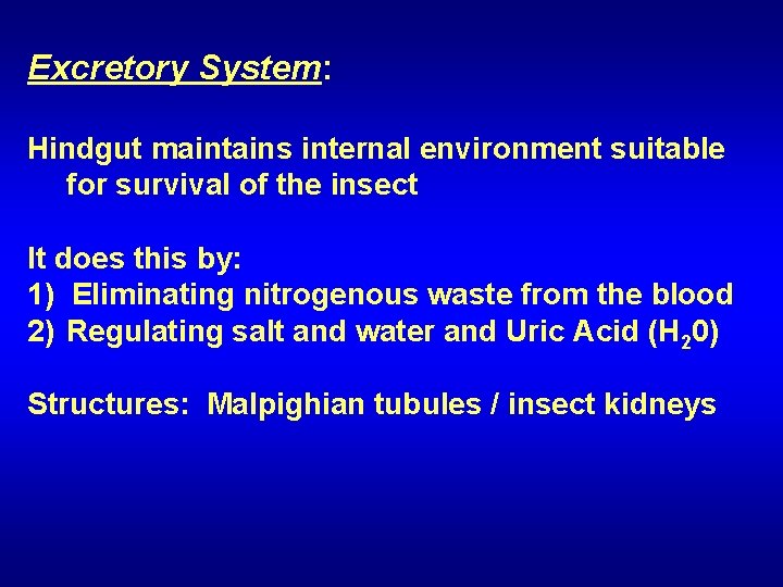 Excretory System: Hindgut maintains internal environment suitable for survival of the insect It does