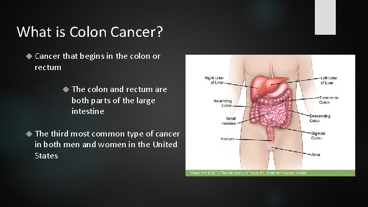 What is Colon Cancer? Cancer that begins in the colon or rectum The colon