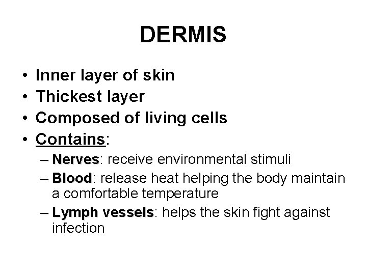 DERMIS • • Inner layer of skin Thickest layer Composed of living cells Contains:
