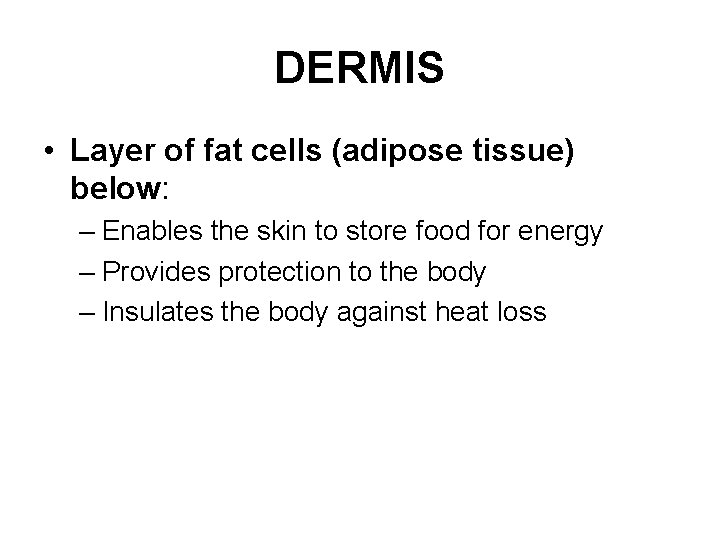 DERMIS • Layer of fat cells (adipose tissue) below: – Enables the skin to