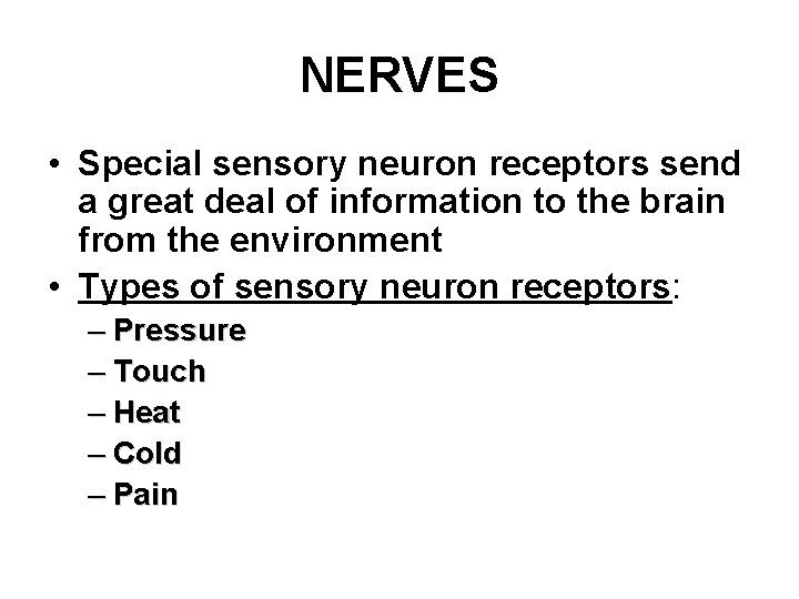 NERVES • Special sensory neuron receptors send a great deal of information to the