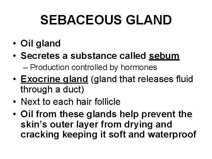 SEBACEOUS GLAND • Oil gland • Secretes a substance called sebum – Production controlled