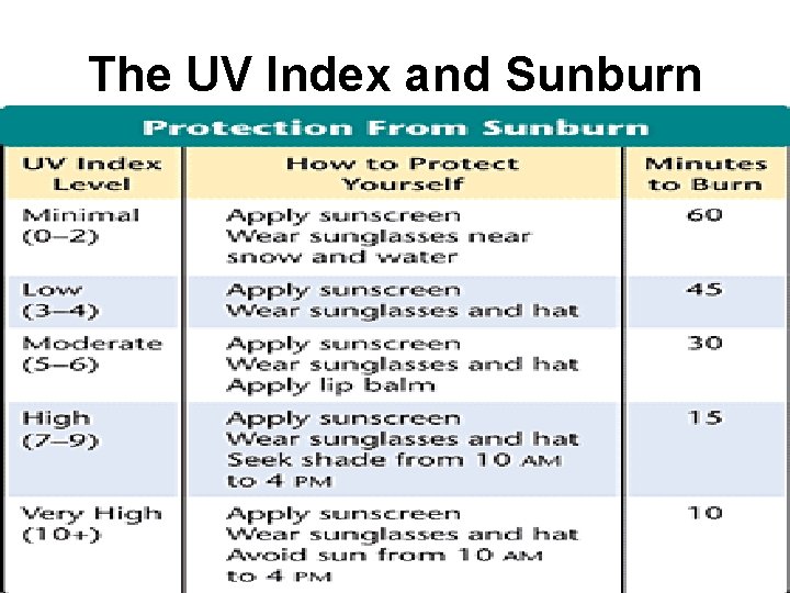 The UV Index and Sunburn 