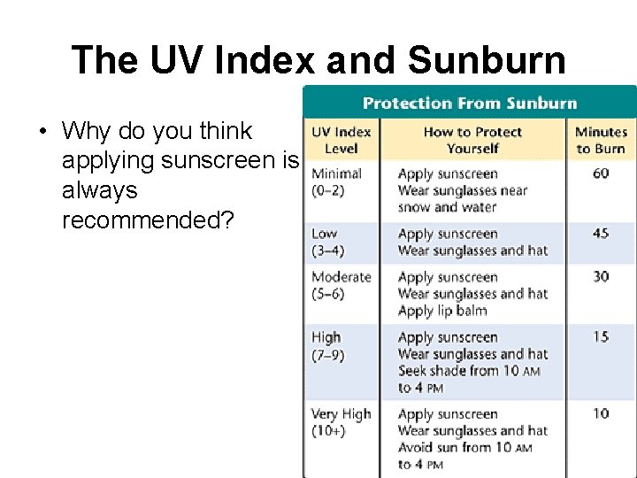 The UV Index and Sunburn • Why do you think applying sunscreen is always