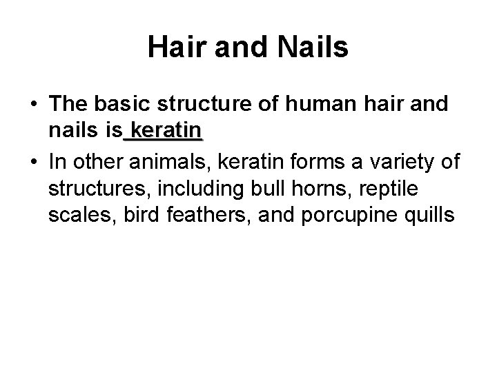Hair and Nails • The basic structure of human hair and nails is keratin