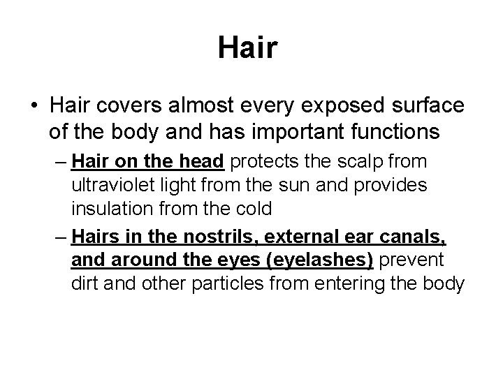 Hair • Hair covers almost every exposed surface of the body and has important