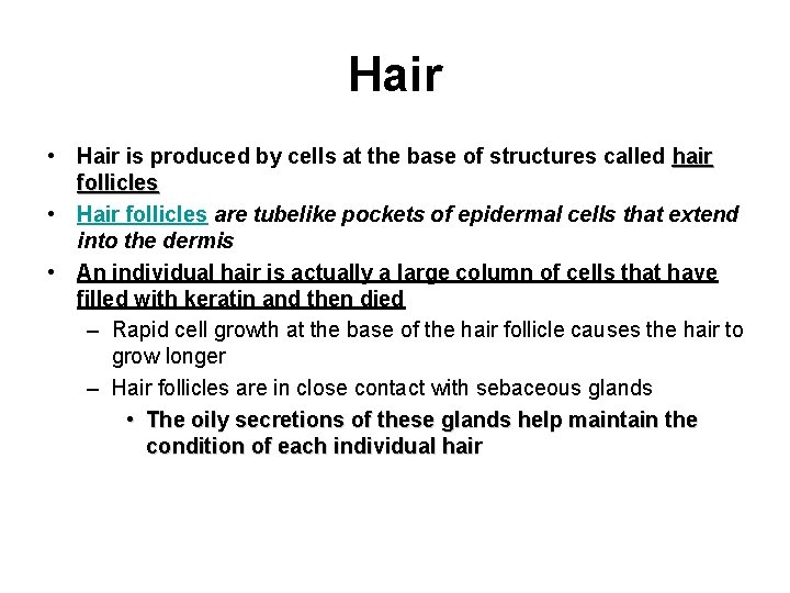 Hair • Hair is produced by cells at the base of structures called hair