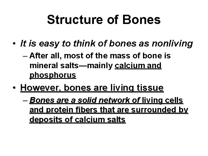 Structure of Bones • It is easy to think of bones as nonliving –