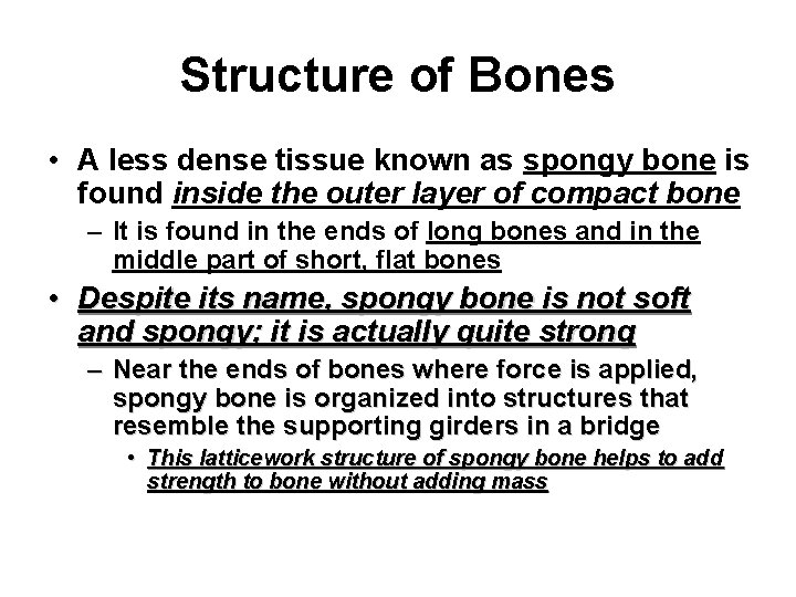Structure of Bones • A less dense tissue known as spongy bone is found